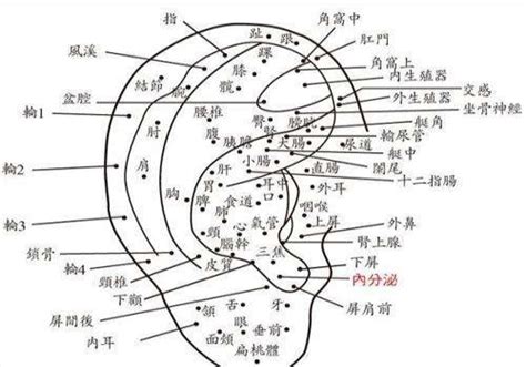 耳上有痣|耳朵痣的位置与命运图解大全